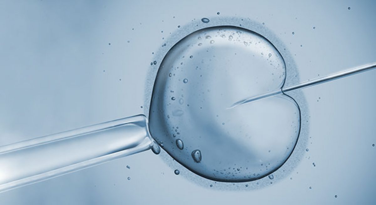 IVF2-6401-1200x656.jpg